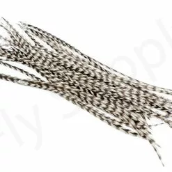 Dry Fly Saddles Select Short Feathers 14 Dry Fly Saddles Select Short Feathers -Rod Tubes Verkoopwinkel Dry Fly Saddles Select Short Feathers DFSSSHORT XX dsc03907 bewerkt wm