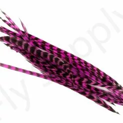 Dry Fly Saddles Select Short Feathers 21 Dry Fly Saddles Select Short Feathers -Rod Tubes Verkoopwinkel Dry Fly Saddles Select Short Feathers DFSSSHORT XX dsc07462 bewerkt 2