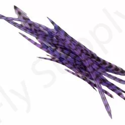 Dry Fly Saddles Select Short Feathers 22 Dry Fly Saddles Select Short Feathers -Rod Tubes Verkoopwinkel Dry Fly Saddles Select Short Feathers DFSSSHORT XX dsc07516 bewerkt 3