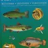 Encyclopedie Van De Hengelsport – Book Dutch -Rod Tubes Verkoopwinkel Encyclopedie Van De Hengelsport Book Dutch ENCYHENGELBOOK encybook 1