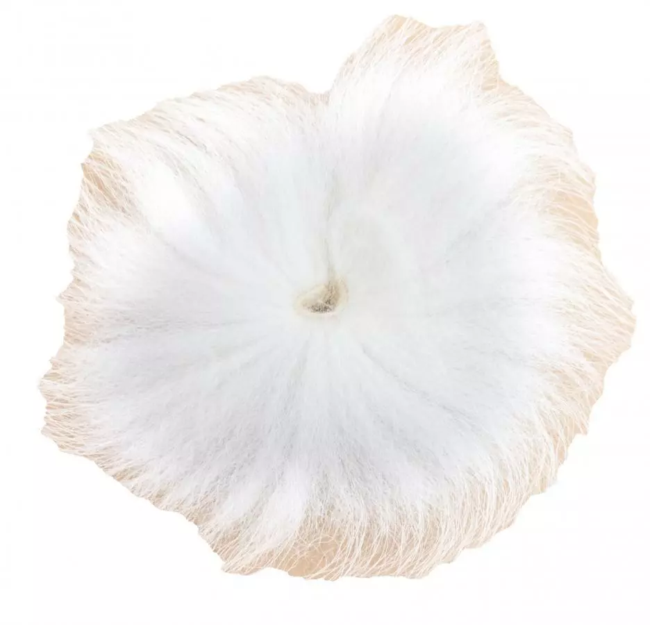 Eumer Arctic Fox Tail 2XL 6 Eumer Arctic Fox Tail 2XL - Afbeelding 4