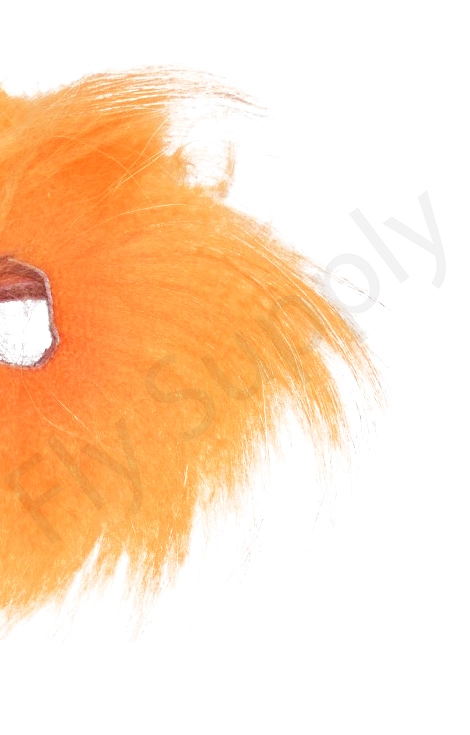 Eumer Finn Raccoon Zonker 4 Eumer Finn Raccoon Zonker - Afbeelding 2