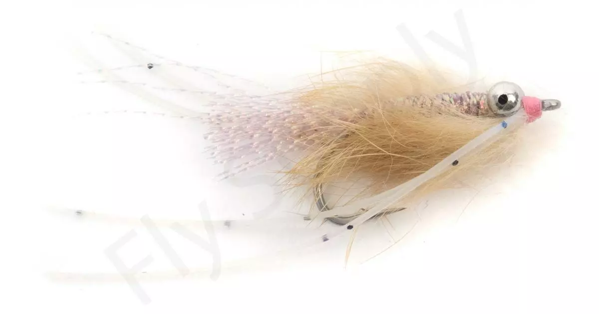 Euro Flies Bon Apetit #2 3 Euro Flies Bon Apetit #2