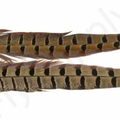 Euro Flies Grade #1 Pheasant Centre Tails 2pc 17 Euro Flies Grade #1 Pheasant Centre Tails 2pc -Rod Tubes Verkoopwinkel Euro Flies Grade 1 Pheasant Centre Tails 2pc EF PHEASTAILS XXX dsc04488 bewerkt 1