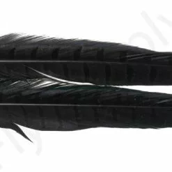 Euro Flies Grade #1 Pheasant Centre Tails 2pc 18 Euro Flies Grade #1 Pheasant Centre Tails 2pc -Rod Tubes Verkoopwinkel Euro Flies Grade 1 Pheasant Centre Tails 2pc EF PHEASTAILS XXX dsc04489 bewerkt 1