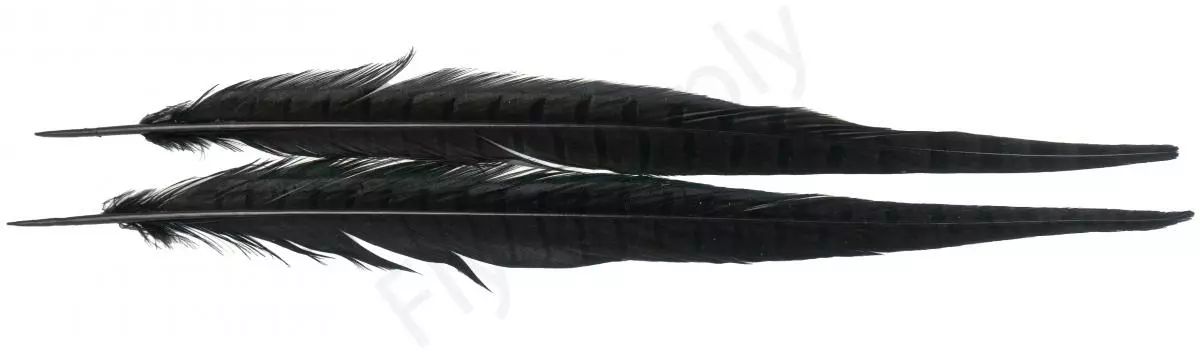 Euro Flies Grade #1 Pheasant Centre Tails 2pc 5 Euro Flies Grade #1 Pheasant Centre Tails 2pc - Afbeelding 3