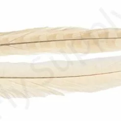 Euro Flies Grade #1 Pheasant Centre Tails 2pc 19 Euro Flies Grade #1 Pheasant Centre Tails 2pc -Rod Tubes Verkoopwinkel Euro Flies Grade 1 Pheasant Centre Tails 2pc EF PHEASTAILS XXX dsc04490 bewerkt 1