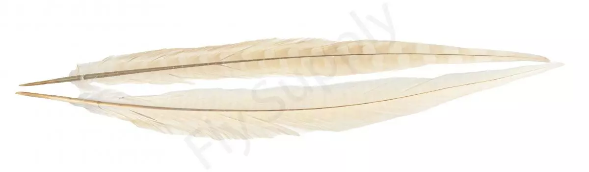 Euro Flies Grade #1 Pheasant Centre Tails 2pc 6 Euro Flies Grade #1 Pheasant Centre Tails 2pc - Afbeelding 4