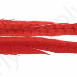 Euro Flies Grade #1 Pheasant Centre Tails 2pc 25 Euro Flies Grade #1 Pheasant Centre Tails 2pc -Rod Tubes Verkoopwinkel Euro Flies Grade 1 Pheasant Centre Tails 2pc EF PHEASTAILS XXX dsc04496 bewerkt 1