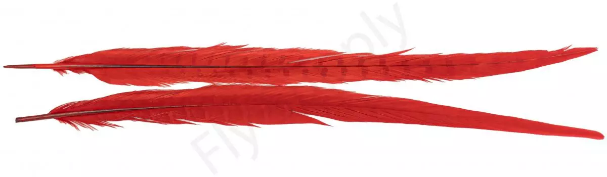 Euro Flies Grade #1 Pheasant Centre Tails 2pc 12 Euro Flies Grade #1 Pheasant Centre Tails 2pc - Afbeelding 10