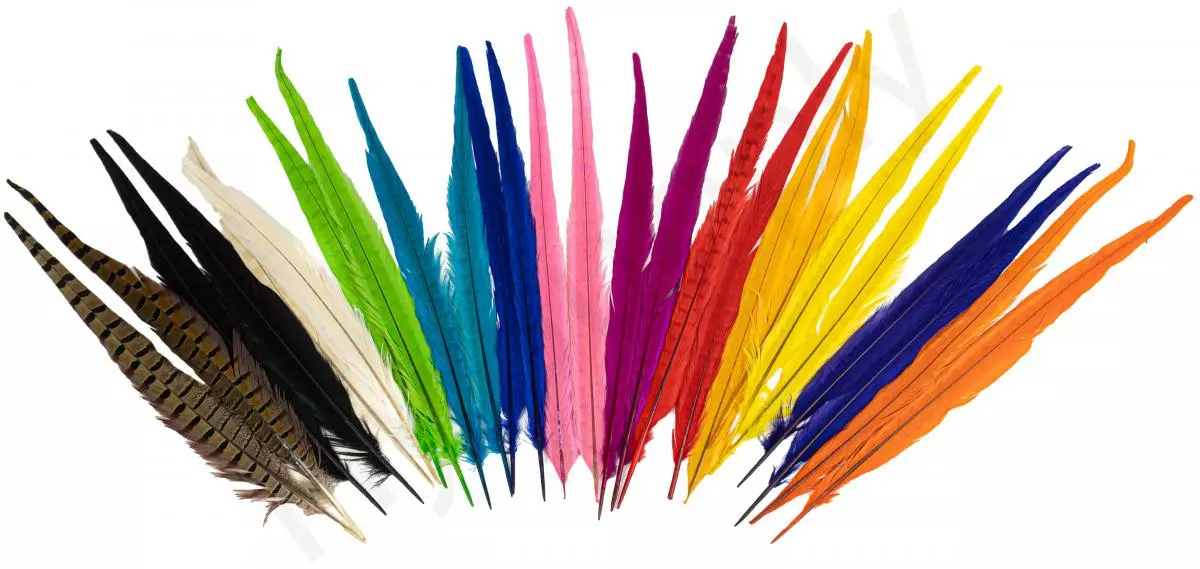 Euro Flies Grade #1 Pheasant Centre Tails 2pc 3 Euro Flies Grade #1 Pheasant Centre Tails 2pc