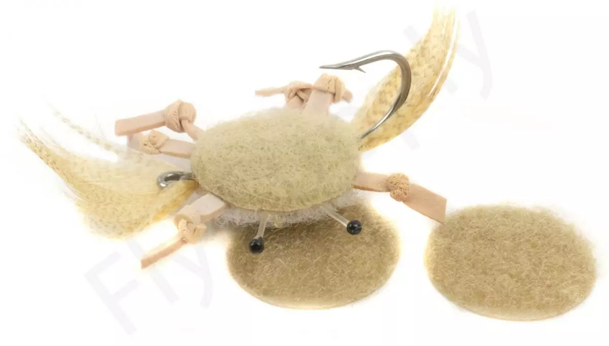 Euro Flies Realistic Crab Bodies 4 Euro Flies Realistic Crab Bodies - Afbeelding 2