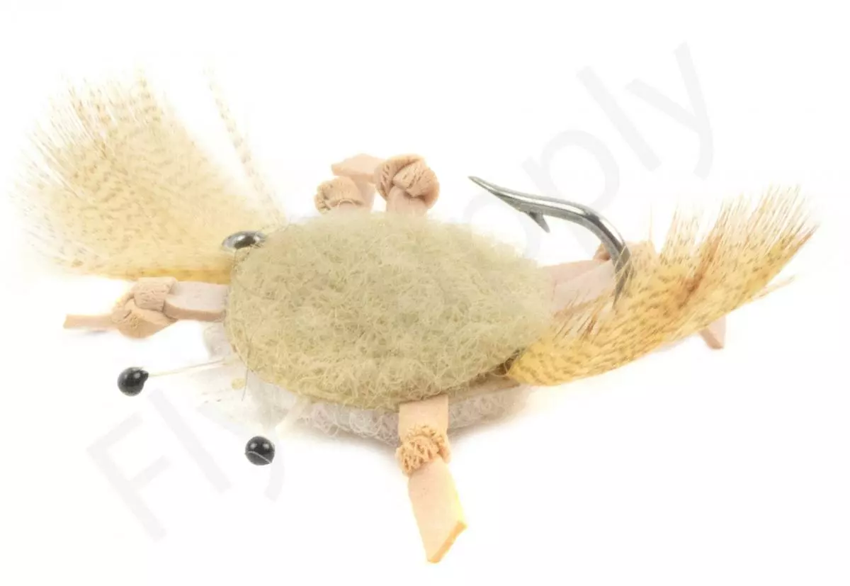 Euro Flies Realistic Crab Bodies 6 Euro Flies Realistic Crab Bodies - Afbeelding 4