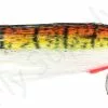 Euro Flies Saltwater Streamer Firetiger #2/0