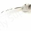 Euro Flies Shadow Shrimp White #6 1 Euro Flies Shadow Shrimp White #6 -Rod Tubes Verkoopwinkel Euro Flies Shadow Shrimp White 6 EF 112206 ef 112206 2