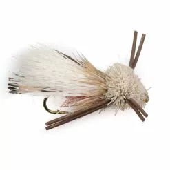 Turks Tarantulla Small #12