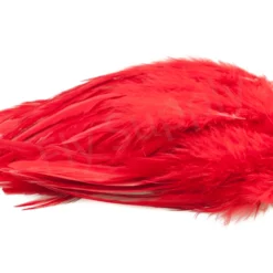 Strung Saddle Hackle -Rod Tubes Verkoopwinkel FS 598