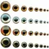 Fish Skull Living Eyes -Rod Tubes Verkoopwinkel Fish Skull Living Eyes FISHSKULL EYES XX skull liv eyes 5