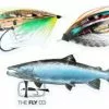 Flyco Sticker Pack Salmon -Rod Tubes Verkoopwinkel Flyco Sticker Pack Salmon 8520 03 1flyco sticker pack salmon 8520 03 flyco sticker pack salmon