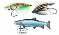 Flyco Sticker Pack Salmon