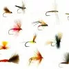Fulling Mill Dry Flies Set Premium 20pc 2 Fulling Mill Dry Flies Set Premium 20pc -Rod Tubes Verkoopwinkel Fulling Mill Dry Flies Set Premium 20pc FM SET20DRIES fm set20dries