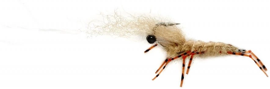 Fulling Mill Honey Shrimp #6 3 Fulling Mill Honey Shrimp #6