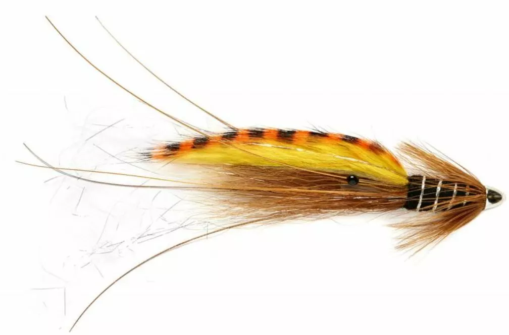 Fulling Mill RS Tiger Francis Black 0.75 Inch 3 Fulling Mill RS Tiger Francis Black 0.75 Inch