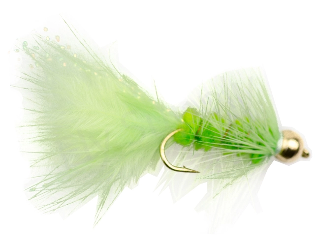 Euro Flies Goldbead Wooly Bugger Fluo Green 2,5 Cm 3 Euro Flies Goldbead Wooly Bugger Fluo Green 2,5 Cm