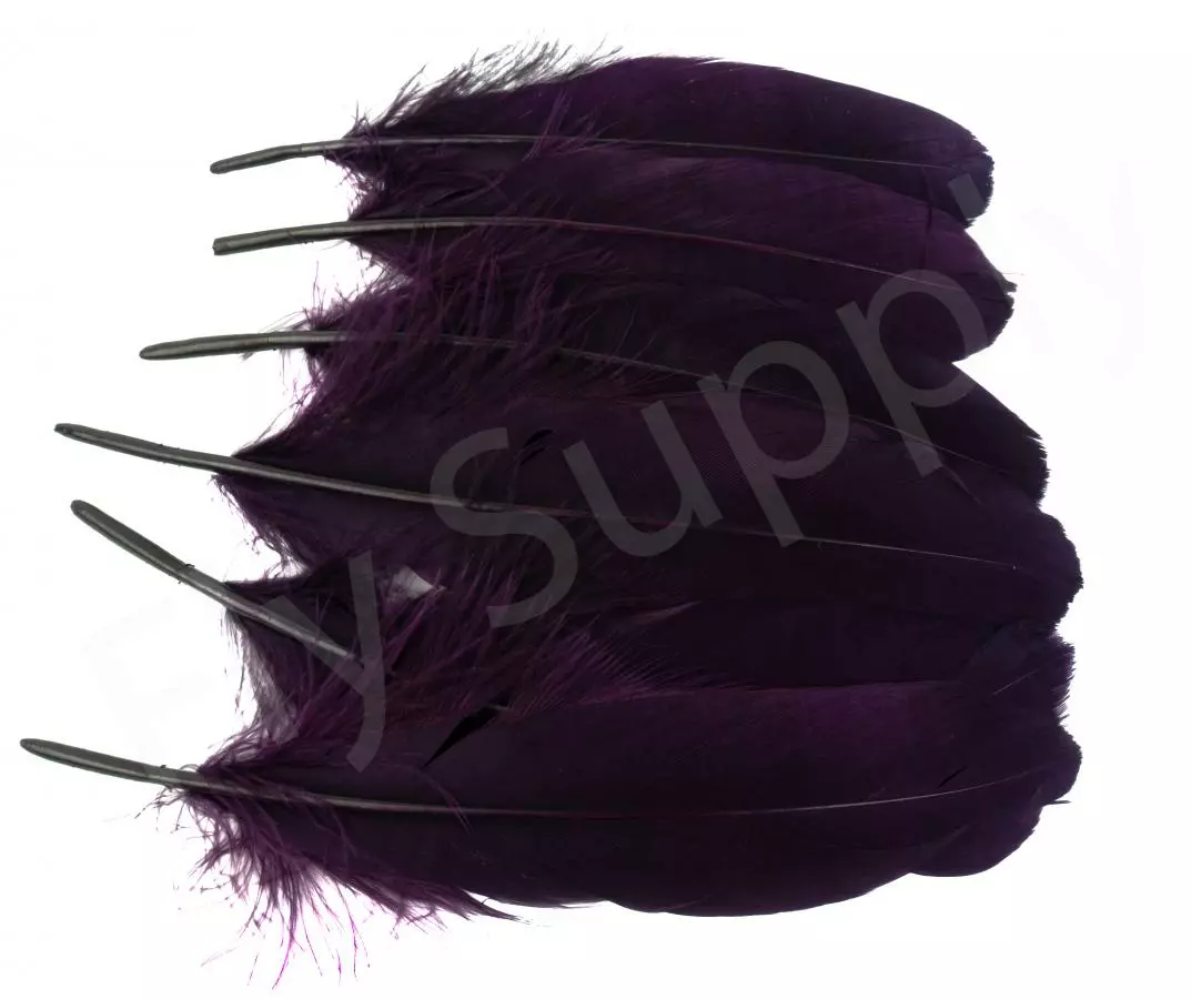 Goose Shoulder 13 Goose Shoulder - Afbeelding 11