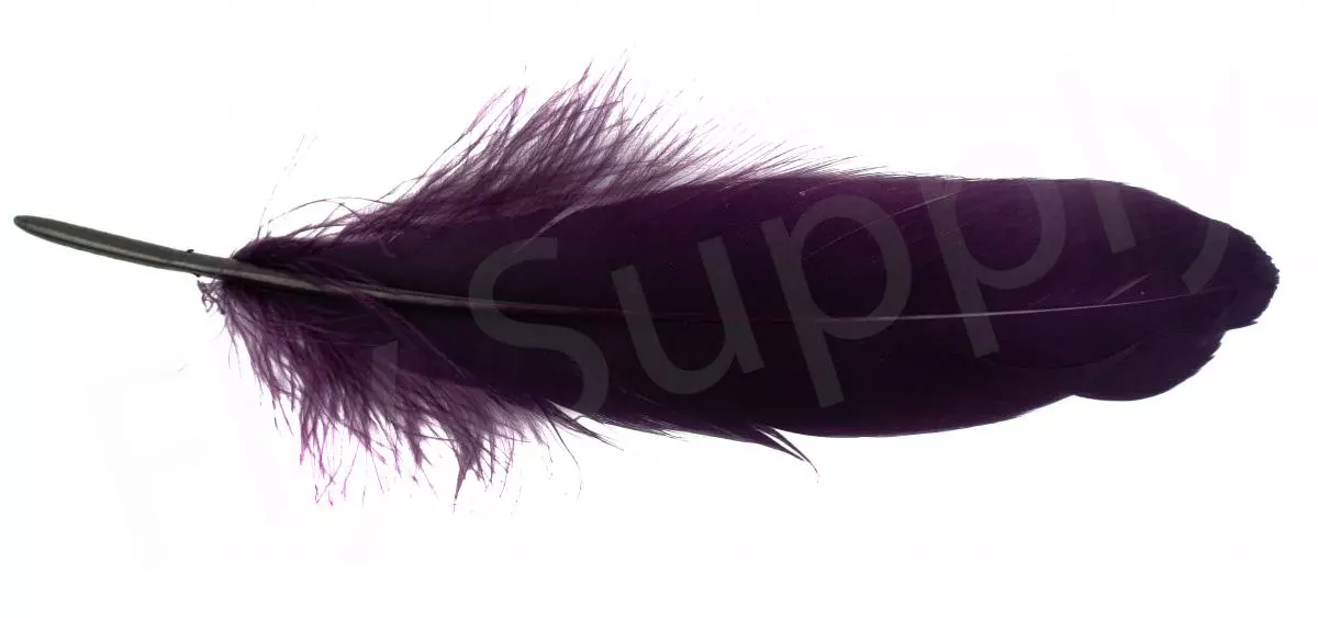 Goose Shoulder 12 Goose Shoulder - Afbeelding 10