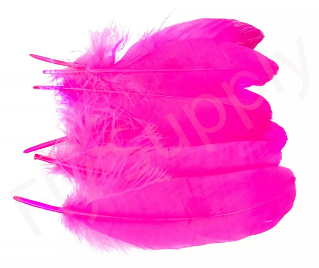 Goose Shoulder 23 Goose Shoulder - Afbeelding 21