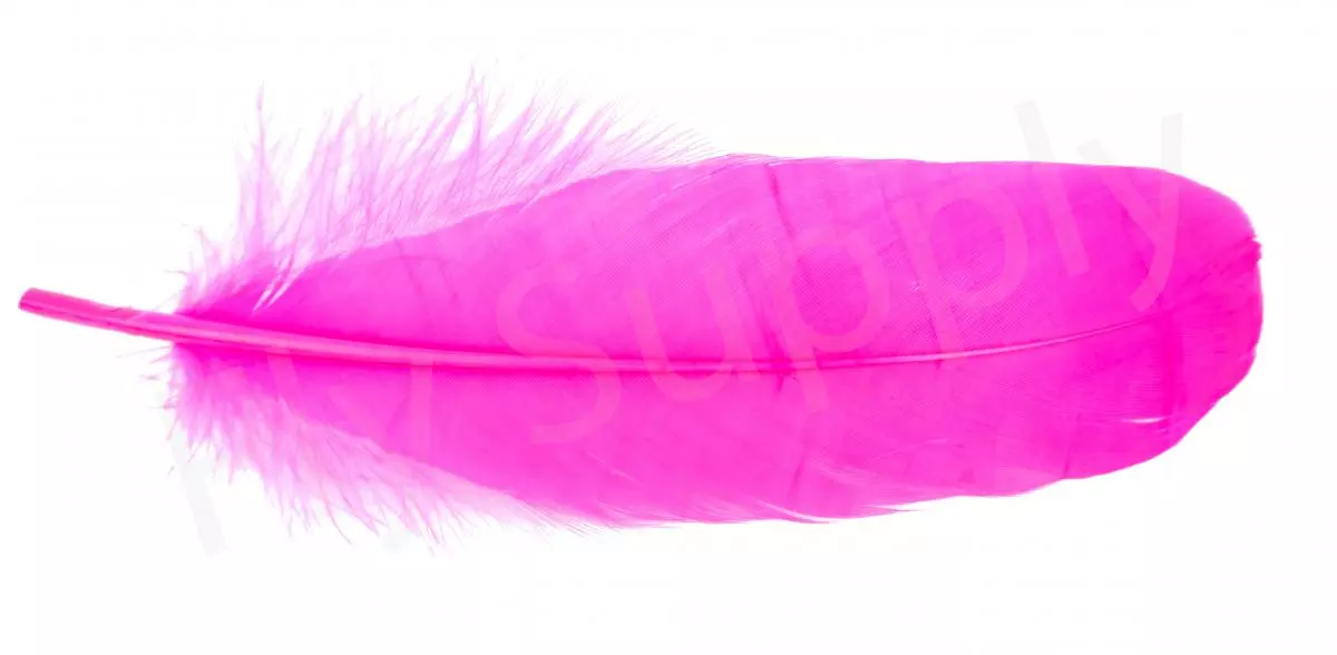 Goose Shoulder 22 Goose Shoulder - Afbeelding 20