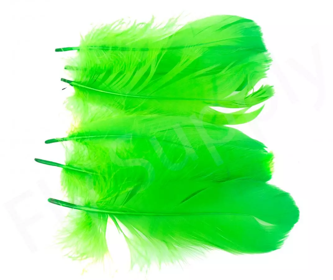 Goose Shoulder 17 Goose Shoulder - Afbeelding 15