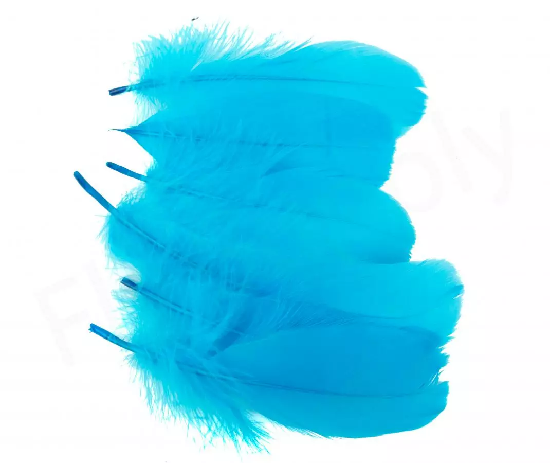 Goose Shoulder 15 Goose Shoulder - Afbeelding 13