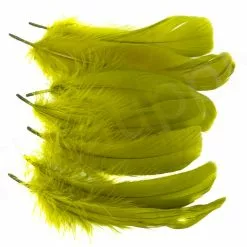 Goose Shoulder 39 Goose Shoulder -Rod Tubes Verkoopwinkel Goose shoulder 40 57XXX olive set