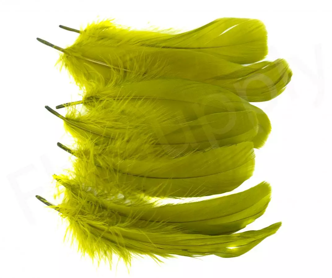 Goose Shoulder 19 Goose Shoulder - Afbeelding 17