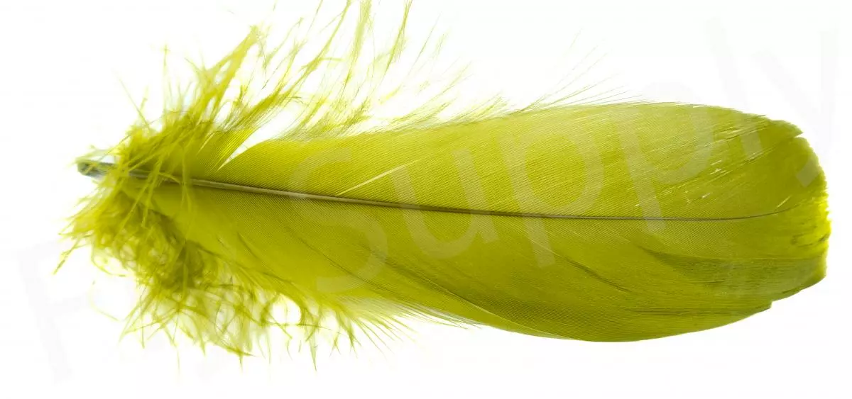 Goose Shoulder 18 Goose Shoulder - Afbeelding 16