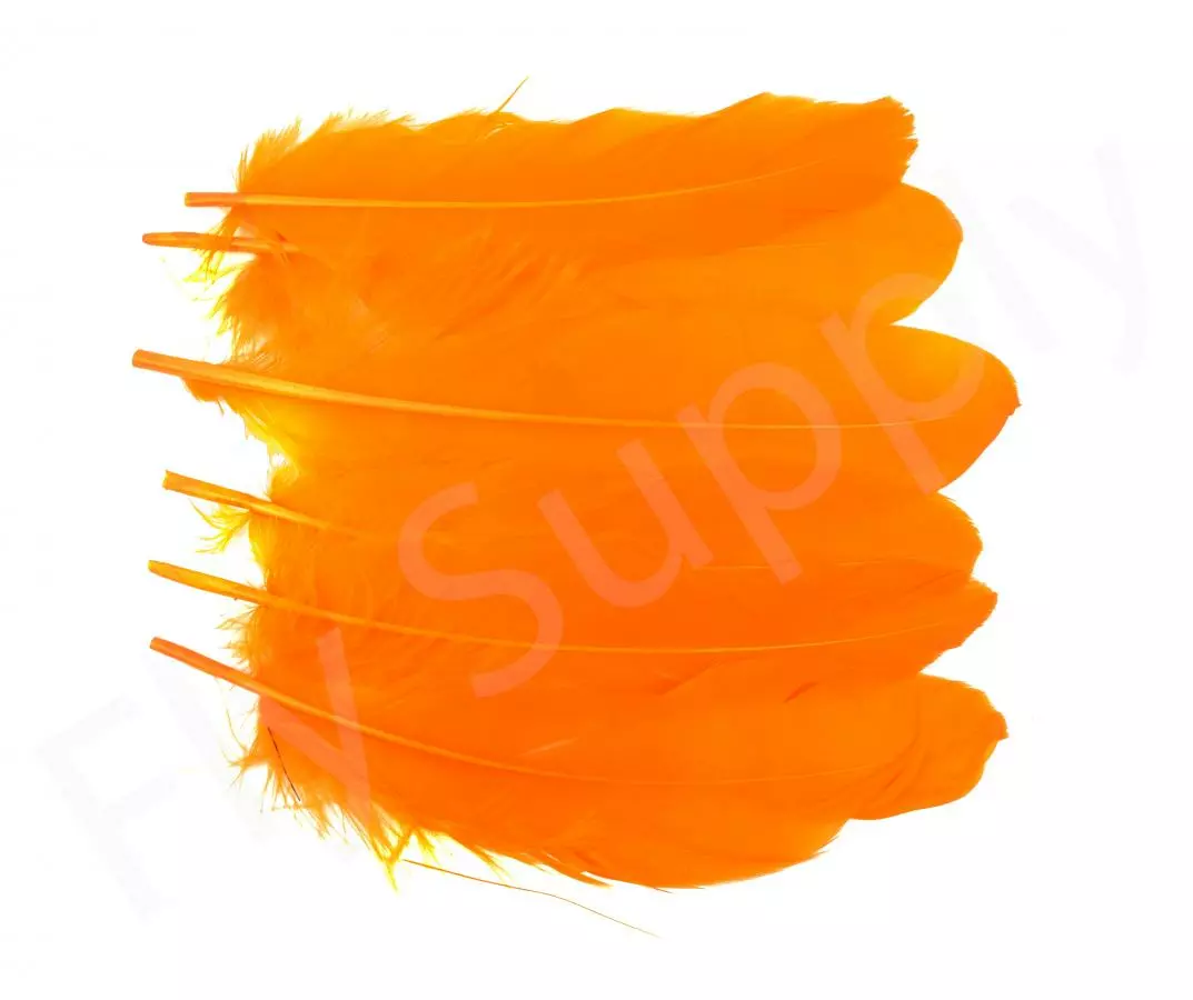 Goose Shoulder 9 Goose Shoulder - Afbeelding 7