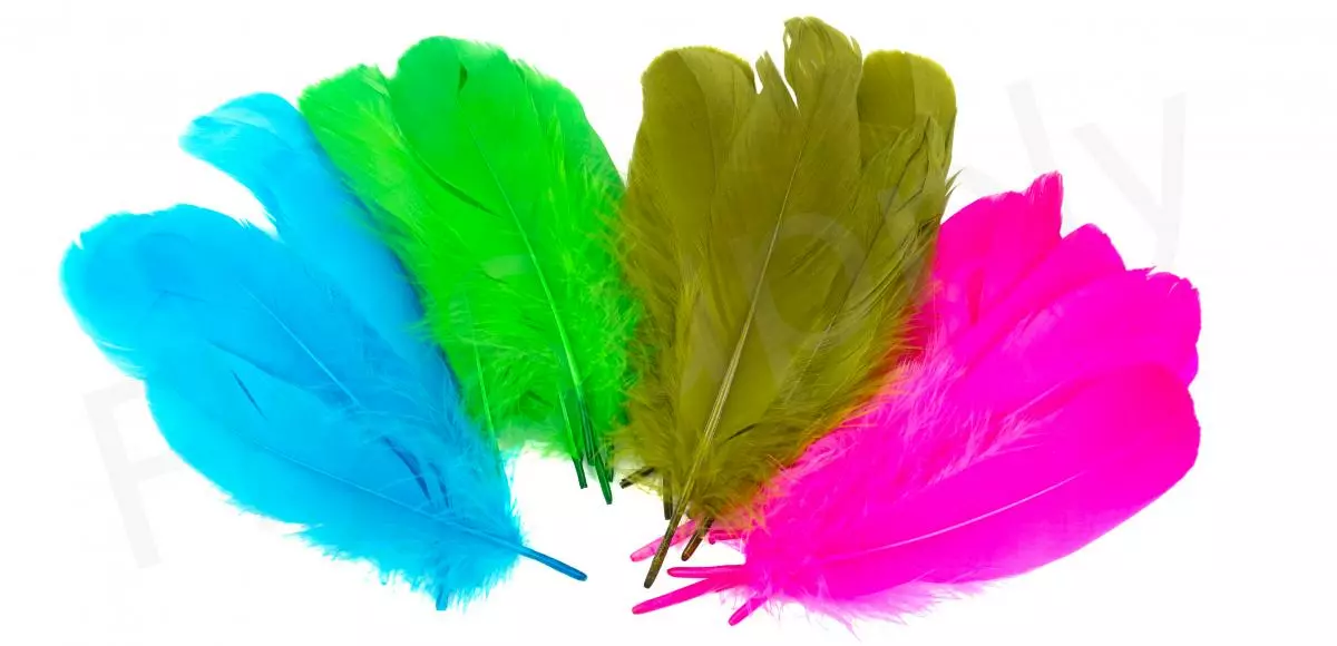 Goose Shoulder 3 Goose Shoulder