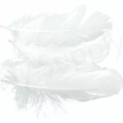 Goose Shoulder 25 Goose Shoulder -Rod Tubes Verkoopwinkel Goose shoulder 40 57XXX white