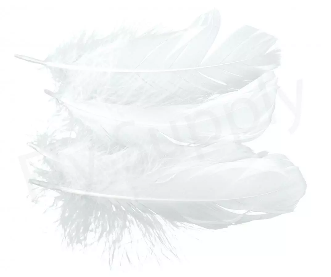 Goose Shoulder 5 Goose Shoulder - Afbeelding 3