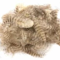 Grizzly Marabou -Rod Tubes Verkoopwinkel Grizzly marabou 40 62XXX dsc01709