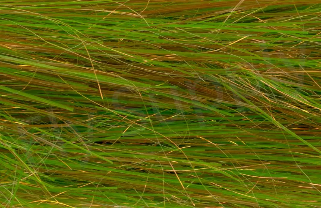 H2O Translucy Brush 5 Inch 9 H2O Translucy Brush 5 Inch - Afbeelding 7