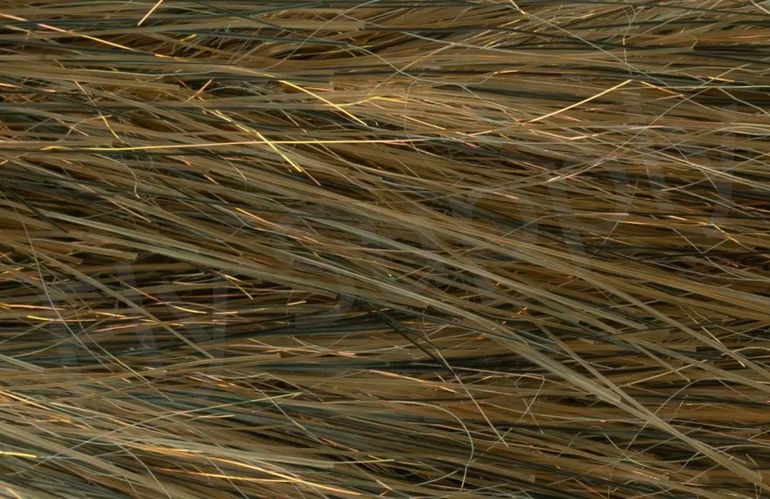 H2O Translucy Brush 5 Inch 8 H2O Translucy Brush 5 Inch - Afbeelding 6