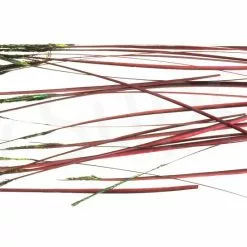 Hand Stripped Peacock Quills -Rod Tubes Verkoopwinkel Hand Stripped Peacock Quills FSTYING POLQUIL X crimson