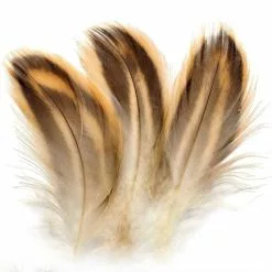 Mallard Hen Breast Feathers Natural