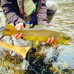 Hex Fly Co Reach Net 19 Hex Fly Co Reach Net -Rod Tubes Verkoopwinkel Hex Fly Co Reach Net NFD9207 REACH image