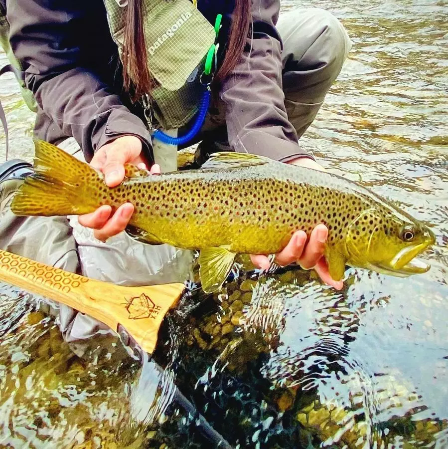 Hex Fly Co Reach Net 9 Hex Fly Co Reach Net - Afbeelding 7