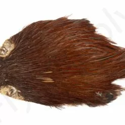 Indian Cock Necks Grade AA Natural 7 Indian Cock Necks Grade AA Natural -Rod Tubes Verkoopwinkel Indian Cock necks grade AA natural 40 284XX dsc09367