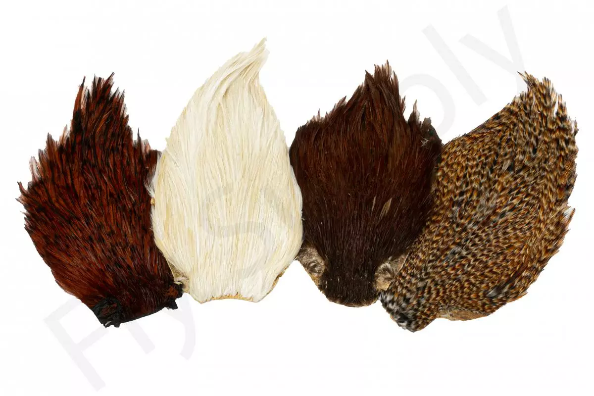 Indian Cock Necks Grade AA Natural 3 Indian Cock Necks Grade AA Natural